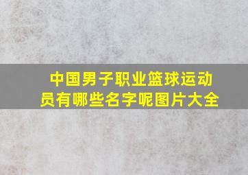 中国男子职业篮球运动员有哪些名字呢图片大全