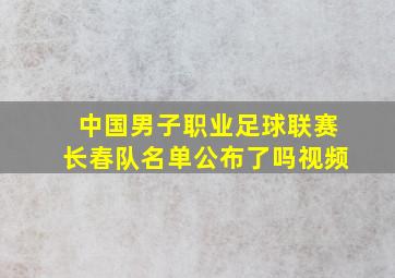 中国男子职业足球联赛长春队名单公布了吗视频