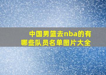 中国男篮去nba的有哪些队员名单图片大全