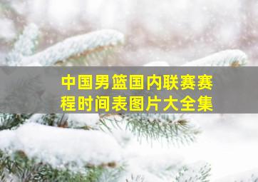 中国男篮国内联赛赛程时间表图片大全集