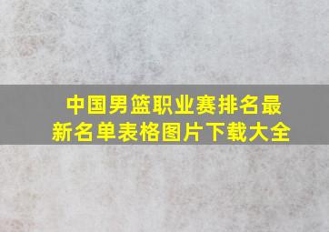 中国男篮职业赛排名最新名单表格图片下载大全