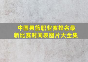 中国男篮职业赛排名最新比赛时间表图片大全集