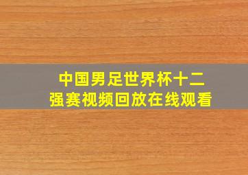 中国男足世界杯十二强赛视频回放在线观看