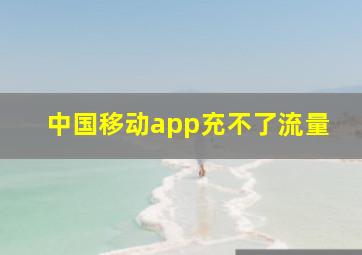 中国移动app充不了流量