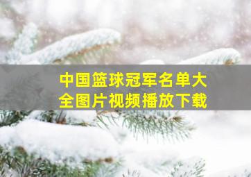 中国篮球冠军名单大全图片视频播放下载