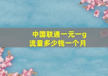 中国联通一元一g流量多少钱一个月