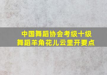 中国舞蹈协会考级十级舞蹈羊角花儿云里开要点