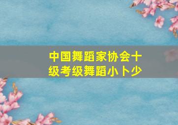 中国舞蹈家协会十级考级舞蹈小卜少