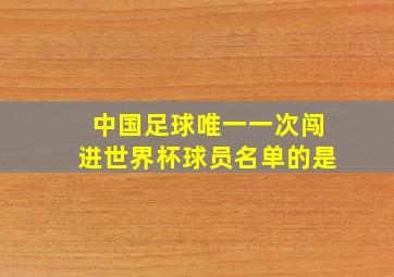 中国足球唯一一次闯进世界杯球员名单的是