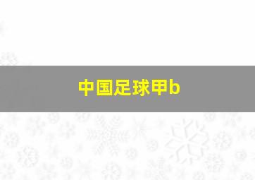 中国足球甲b