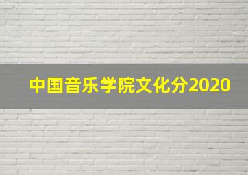 中国音乐学院文化分2020