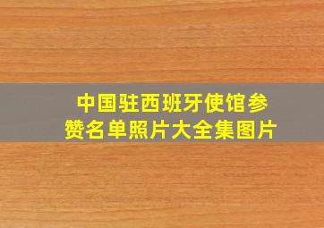 中国驻西班牙使馆参赞名单照片大全集图片