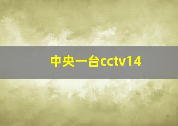 中央一台cctv14