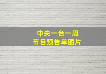 中央一台一周节目预告单图片