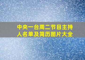 中央一台周二节目主持人名单及简历图片大全