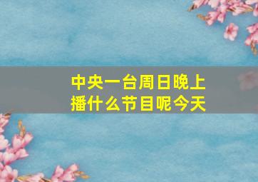 中央一台周日晚上播什么节目呢今天