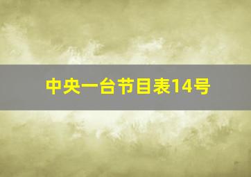 中央一台节目表14号