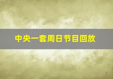 中央一套周日节目回放