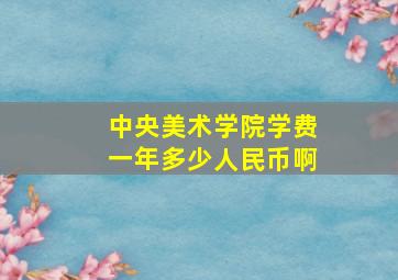 中央美术学院学费一年多少人民币啊