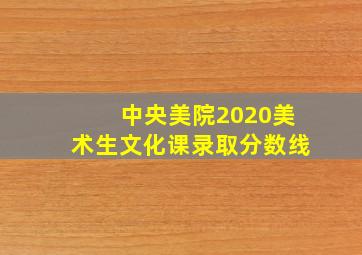 中央美院2020美术生文化课录取分数线