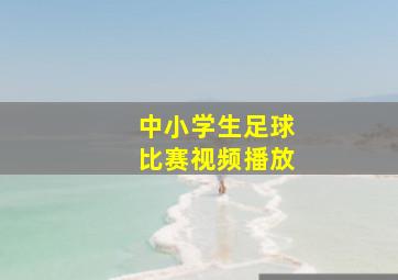 中小学生足球比赛视频播放