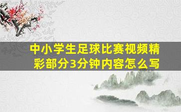 中小学生足球比赛视频精彩部分3分钟内容怎么写