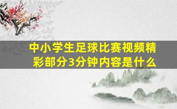 中小学生足球比赛视频精彩部分3分钟内容是什么