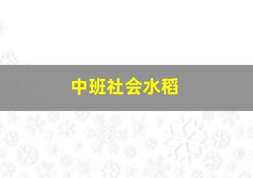 中班社会水稻