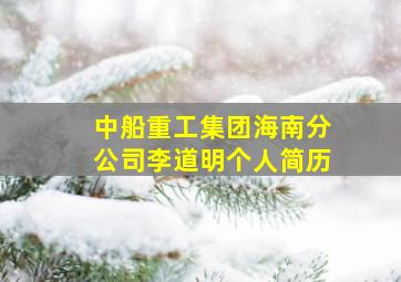 中船重工集团海南分公司李道明个人简历