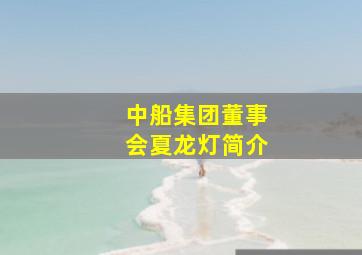 中船集团董事会夏龙灯简介