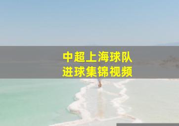 中超上海球队进球集锦视频