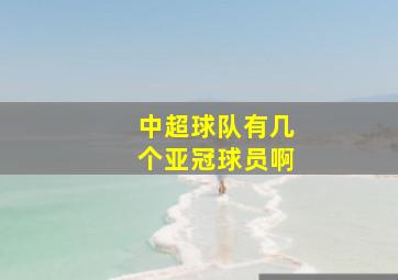 中超球队有几个亚冠球员啊