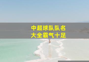 中超球队队名大全霸气十足