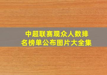 中超联赛观众人数排名榜单公布图片大全集