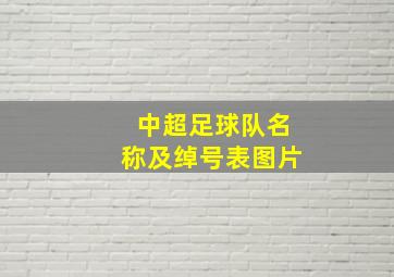 中超足球队名称及绰号表图片