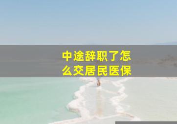 中途辞职了怎么交居民医保