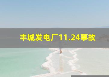 丰城发电厂11.24事故