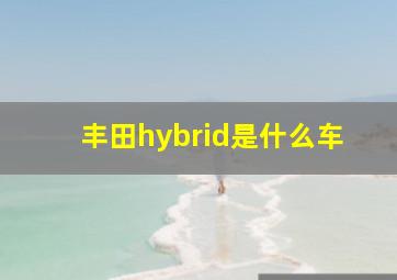 丰田hybrid是什么车