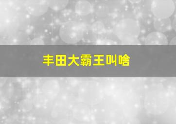 丰田大霸王叫啥