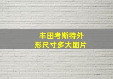 丰田考斯特外形尺寸多大图片