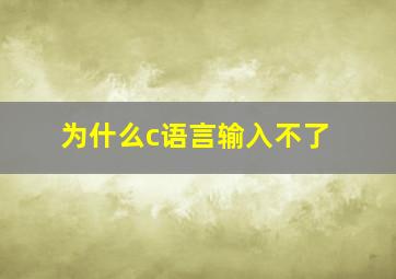 为什么c语言输入不了