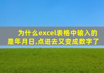 为什么excel表格中输入的是年月日,点进去又变成数字了