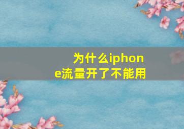 为什么iphone流量开了不能用