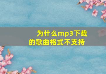 为什么mp3下载的歌曲格式不支持