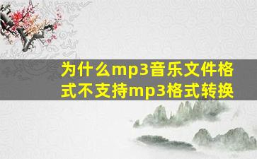 为什么mp3音乐文件格式不支持mp3格式转换