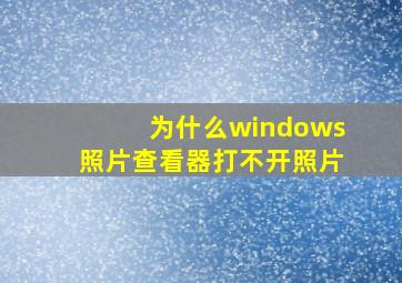 为什么windows照片查看器打不开照片