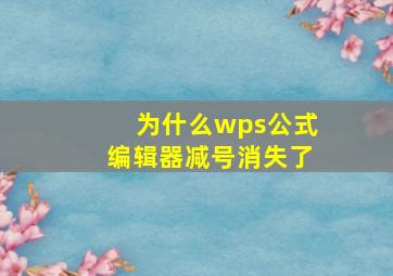 为什么wps公式编辑器减号消失了