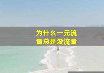 为什么一元流量总是没流量