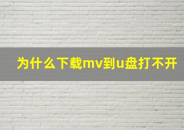 为什么下载mv到u盘打不开