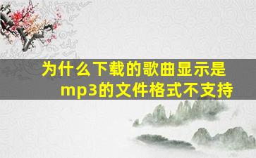 为什么下载的歌曲显示是mp3的文件格式不支持